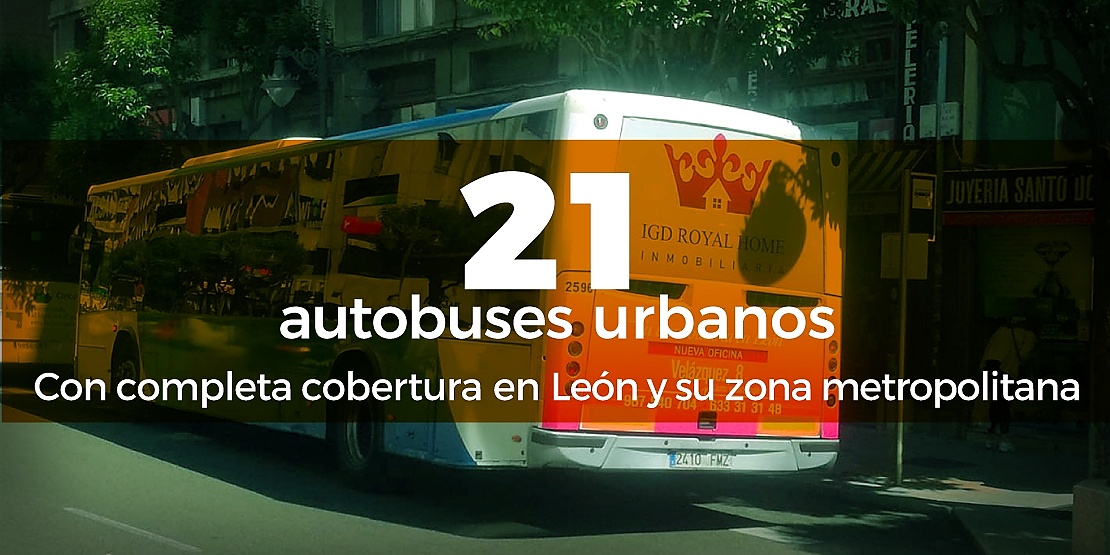 21 autobuses